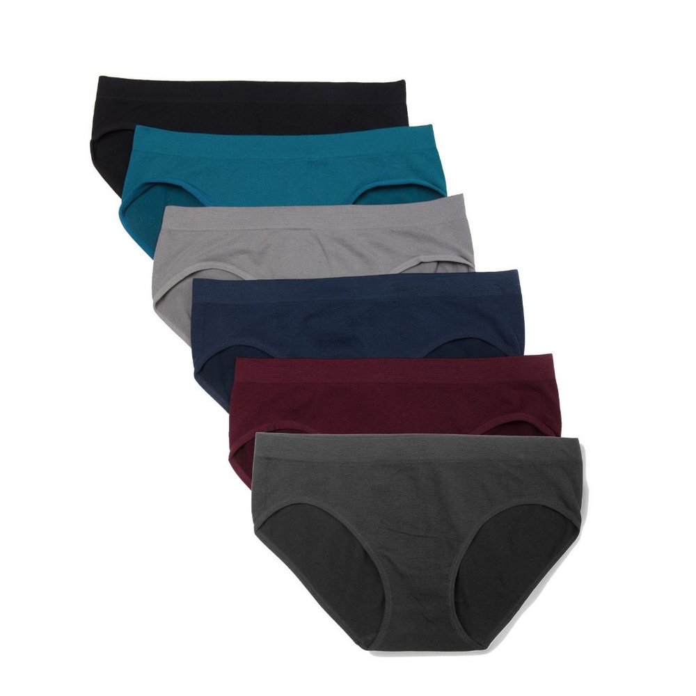 6 Pack Women's Nylon Spandex Hipster Brief Underwear A11 Winter New NWB